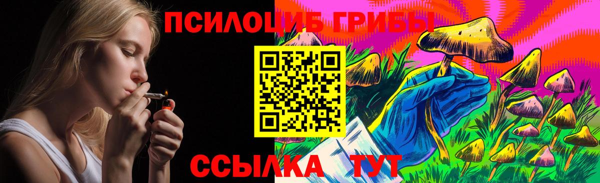 Протвино  Псилоцибиновые грибы Psilocybe  Вход с VPN 