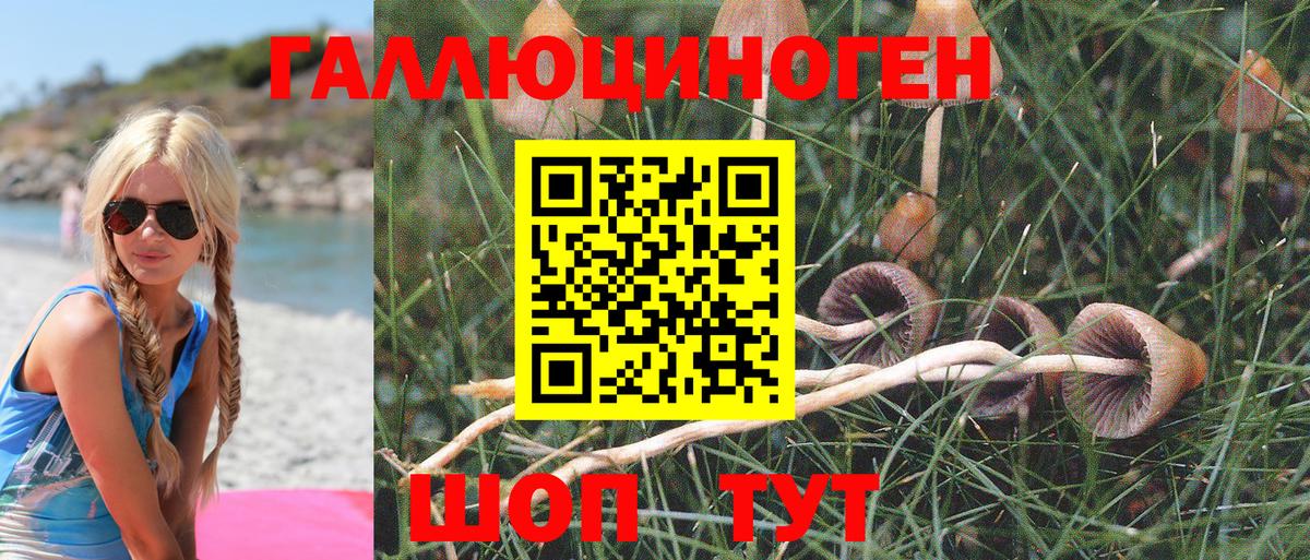 Псилоцибиновые грибы Cubensis Протвино